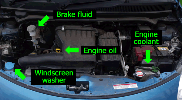How to top up antifreeze ford focus #7